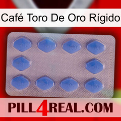 Café Toro De Oro Rígido 21